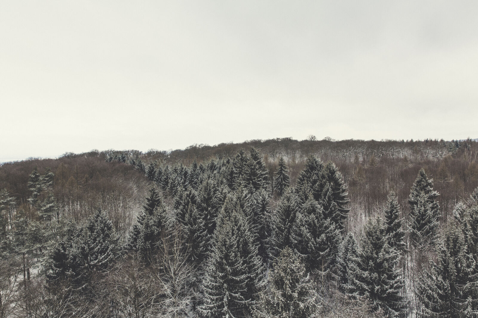 Canon EF 24-70mm F2.8L II USM sample photo. Cold, snow, landscape, nature photography