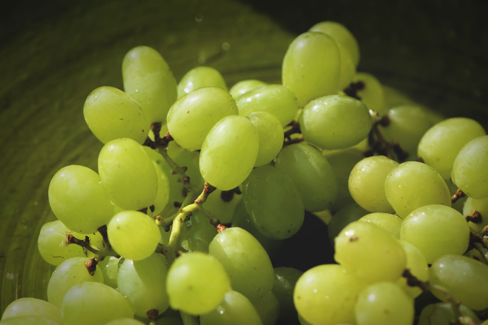 Nikon D3200 sample photo. Grapes, fruits, healthy photography