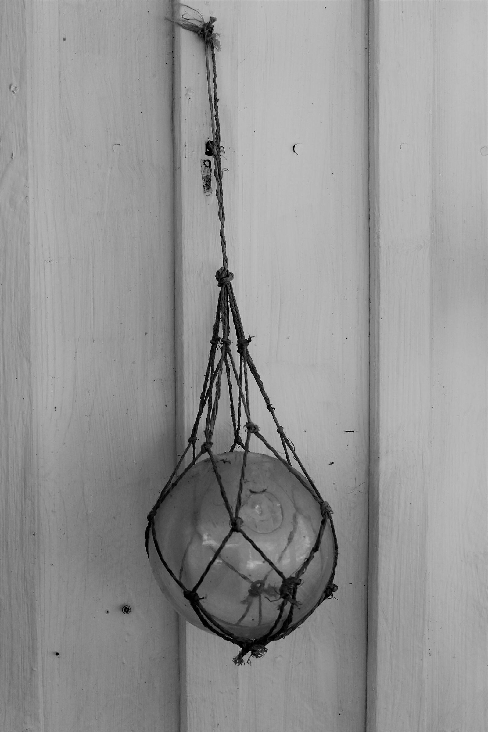 Canon EOS 500D (EOS Rebel T1i / EOS Kiss X3) sample photo. Glass ball, glasfl te photography
