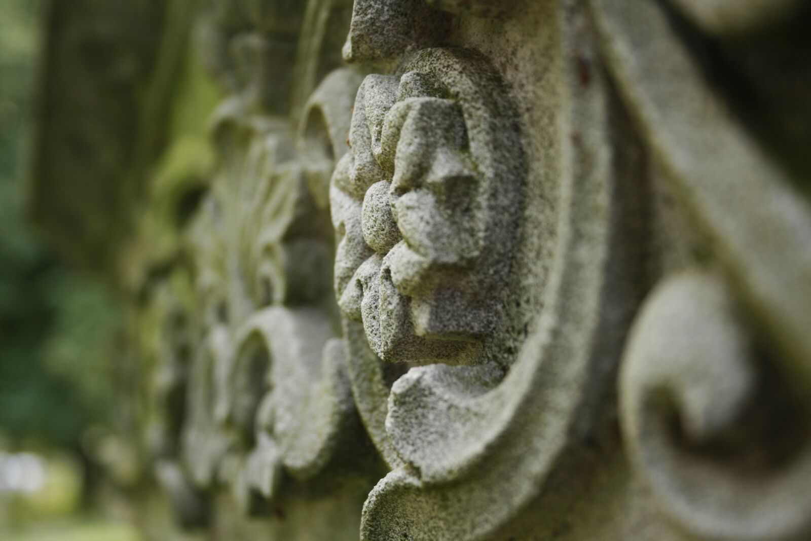 Canon EOS 400D (EOS Digital Rebel XTi / EOS Kiss Digital X) sample photo. Nature, closeup, old photography