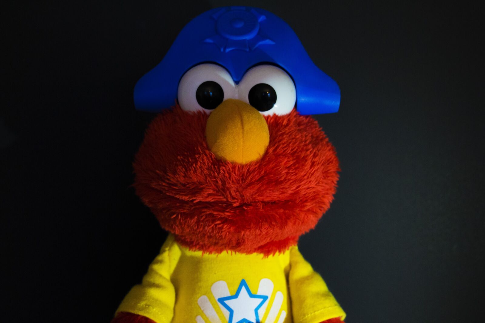 Canon EOS 700D (EOS Rebel T5i / EOS Kiss X7i) sample photo. Elmo, pirate, toy photography