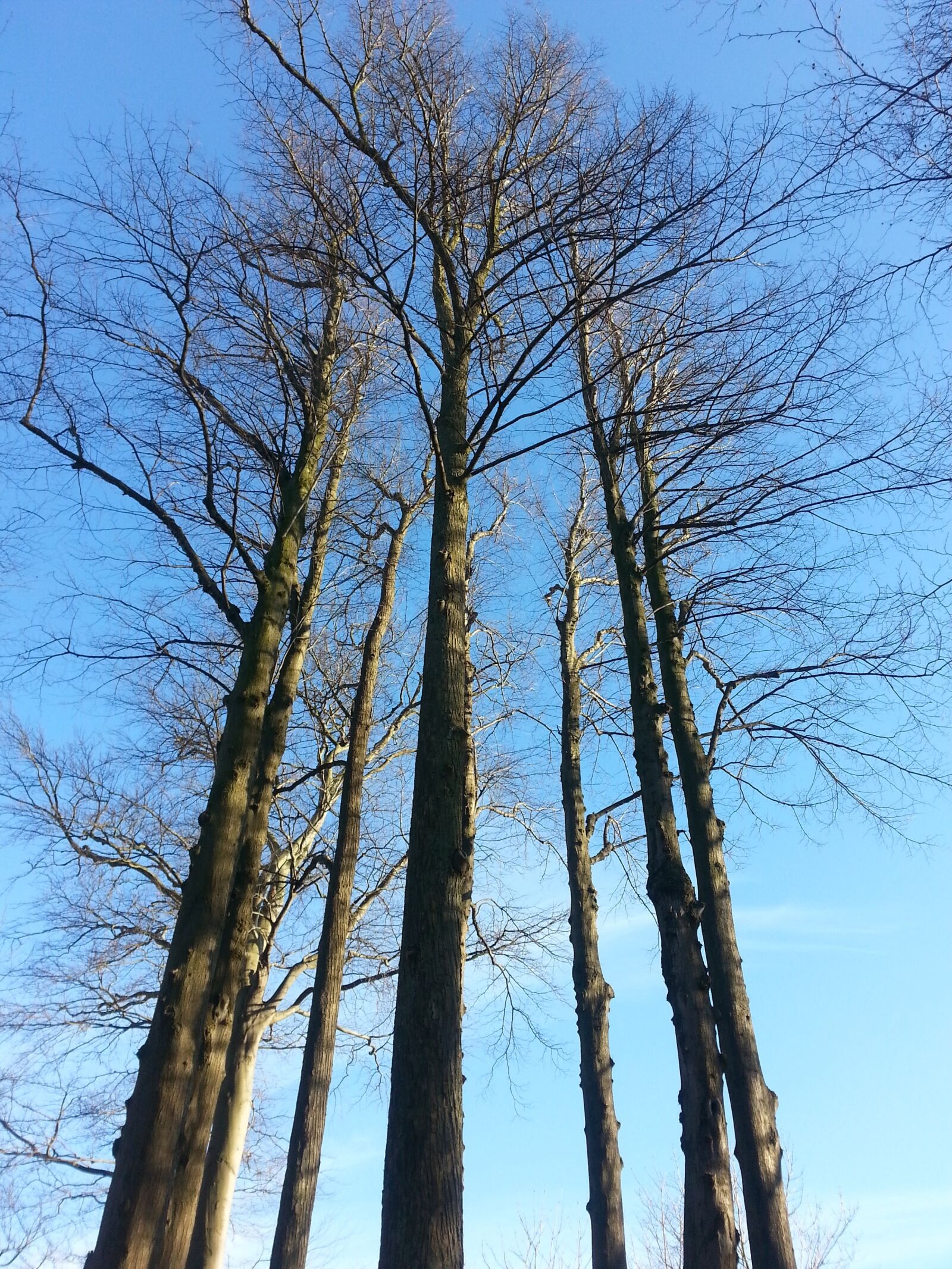 Samsung Galaxy S3 sample photo. Malmö, katrinetorp, autumn photography