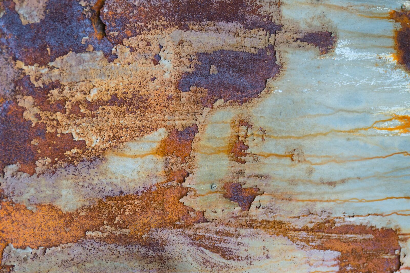 Sony Alpha a5000 (ILCE 5000) sample photo. Metal, rusted, plate photography