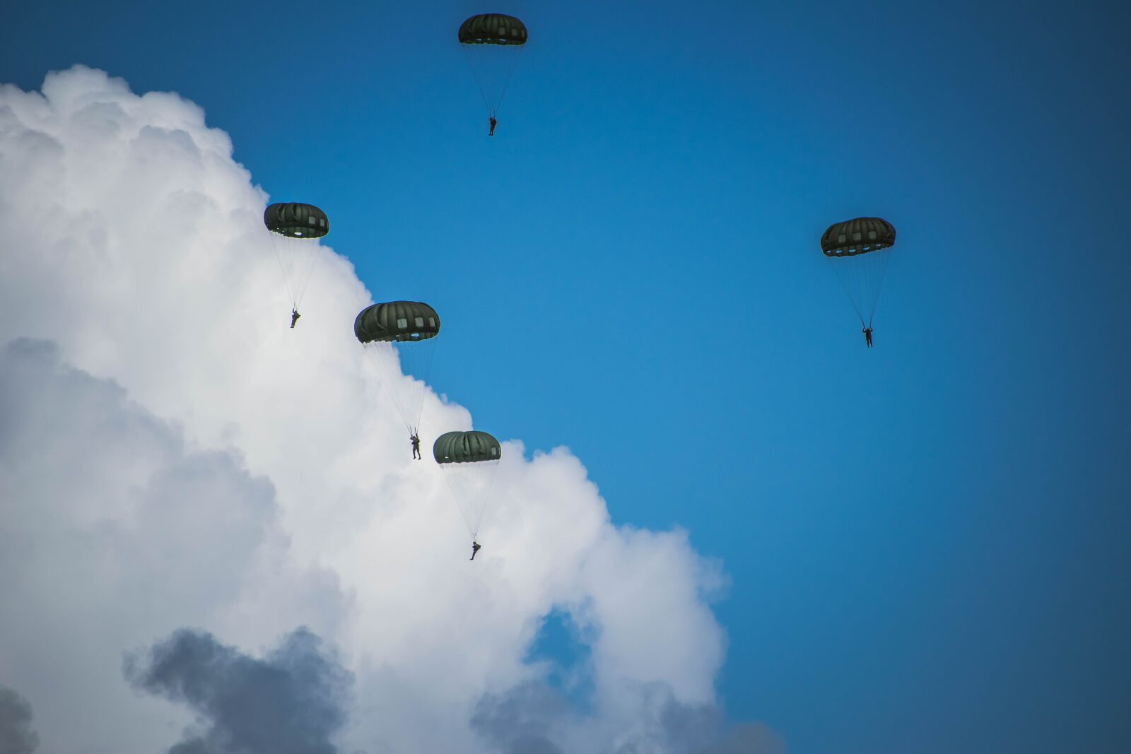 Nikon D5300 sample photo. Paratroopers, military, army photography