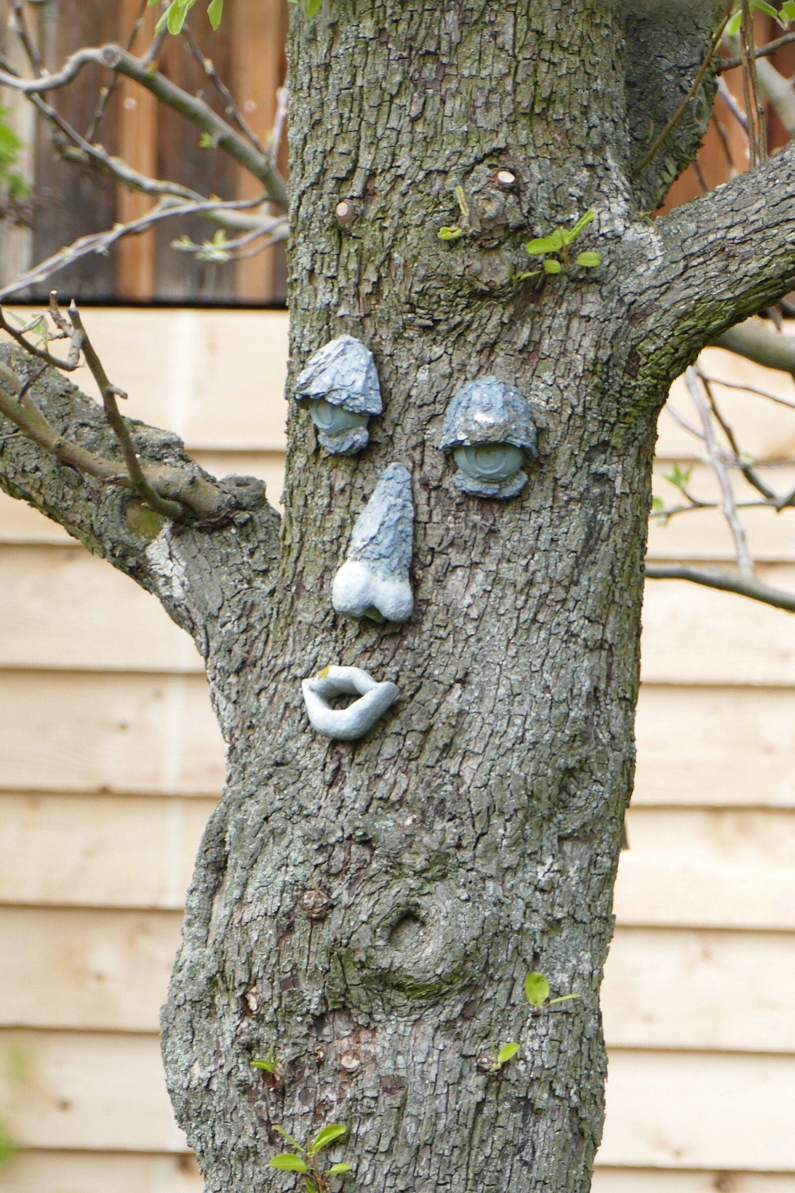 Panasonic Lumix DMC-FZ1000 sample photo. Tree, face, funny photography