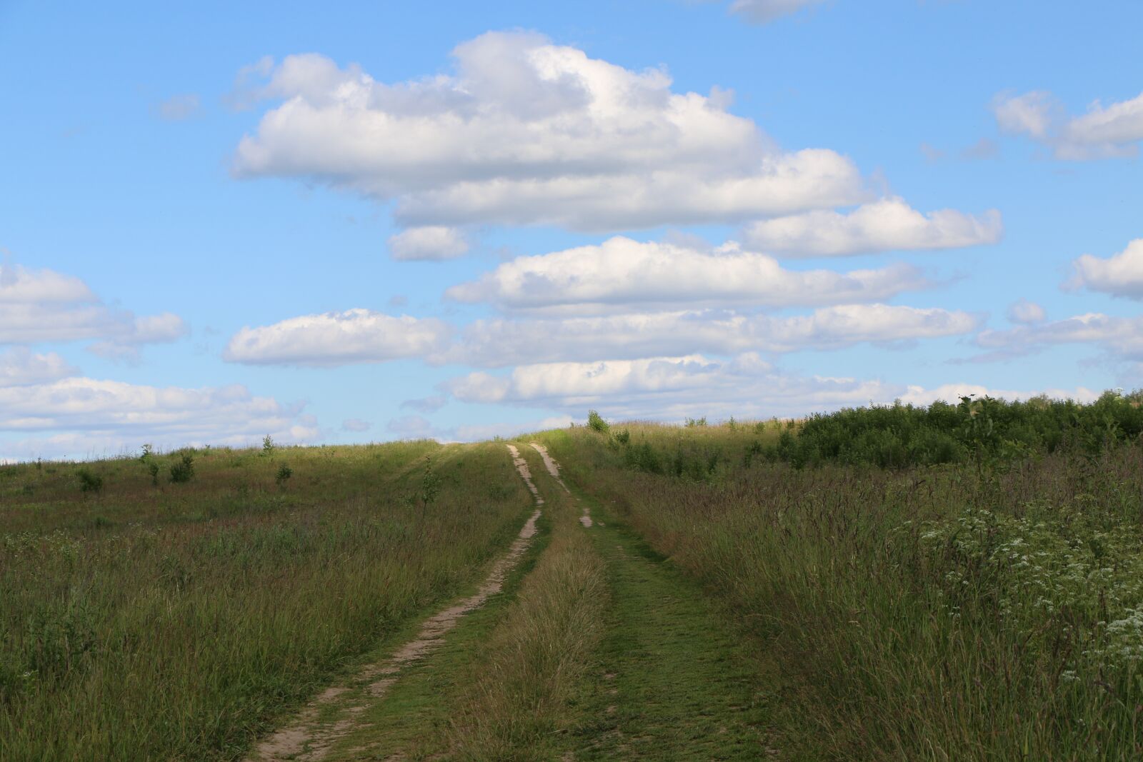 Canon EOS 70D sample photo. Field, road, village photography