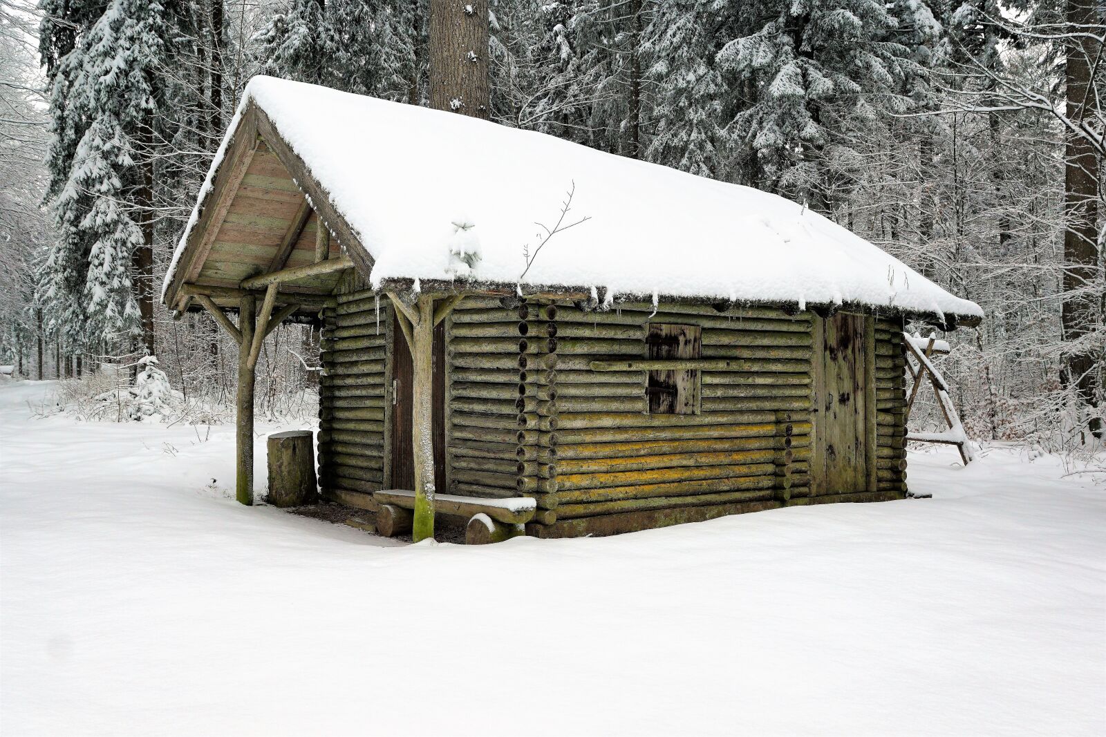 Sony ILCA-77M2 + Sony DT 16-50mm F2.8 SSM sample photo. Winter, snow, wood photography
