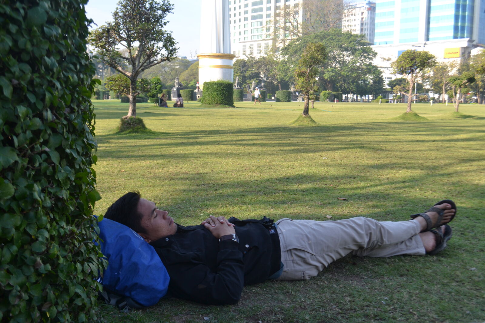 Nikon D3100 sample photo