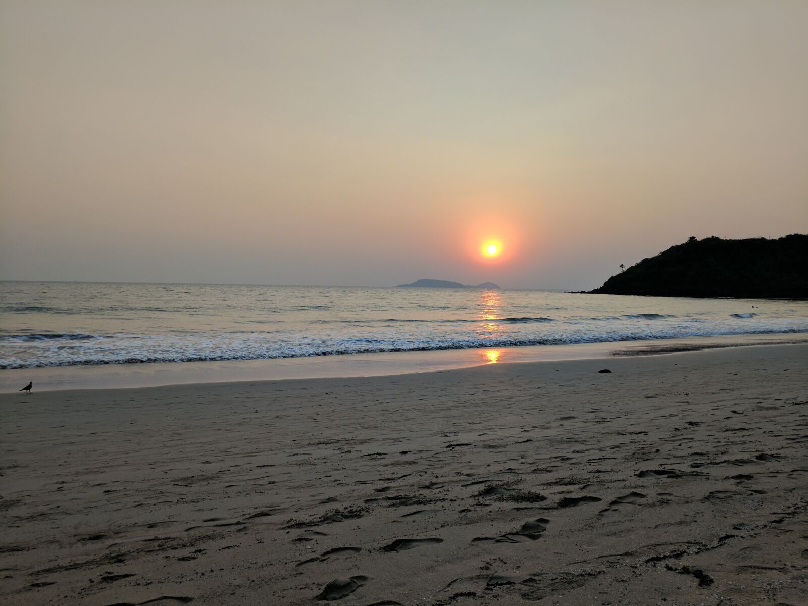 Google Pixel sample photo. Beach, goa, india photography