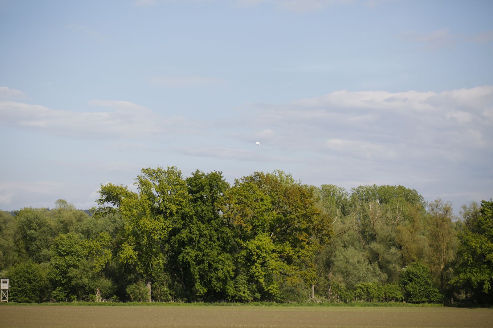 Canon EF 100mm F2.8L Macro IS USM sample photo. Trees, nature, sky photography