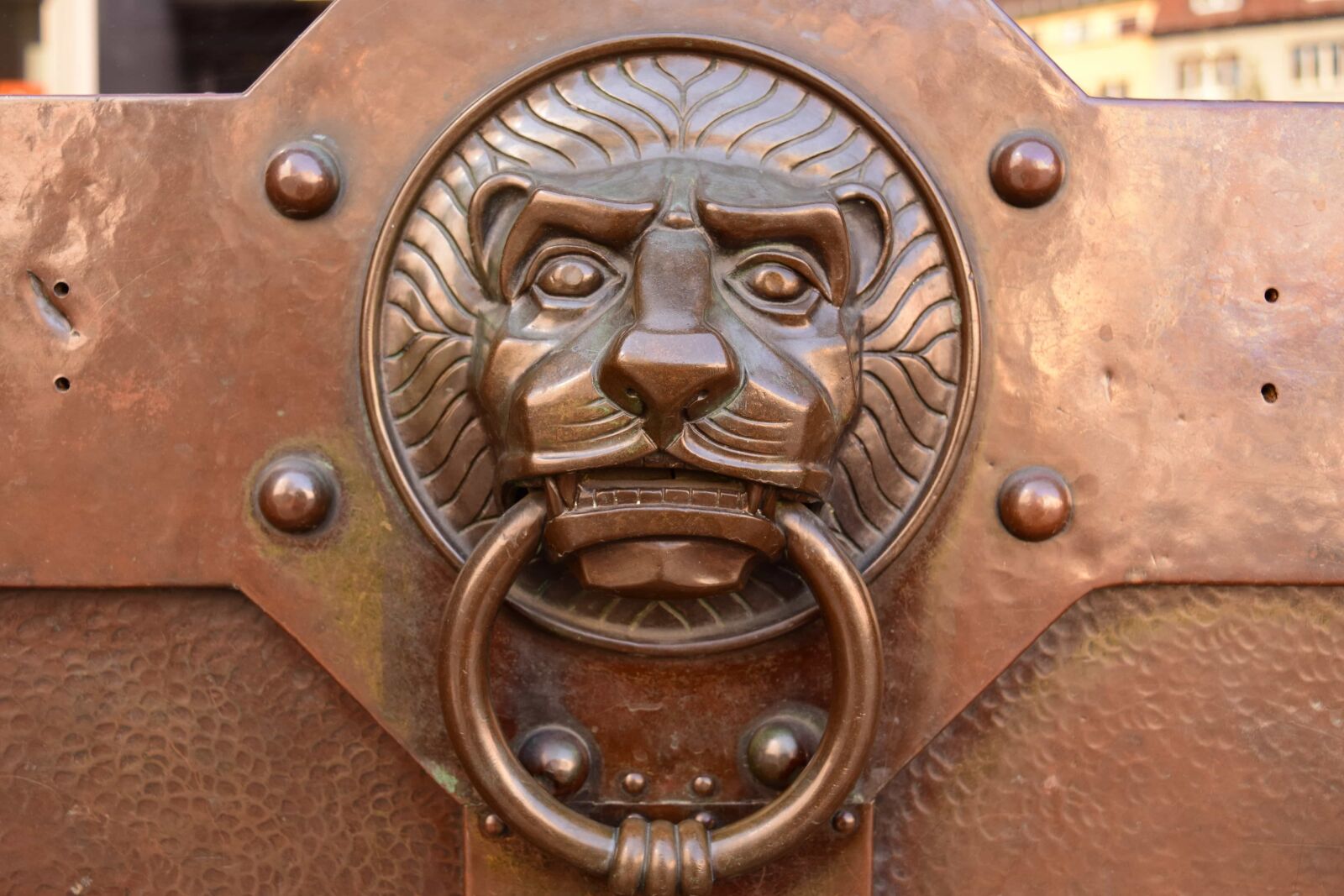 Nikon D3300 sample photo. Steel, head, lion, ring photography