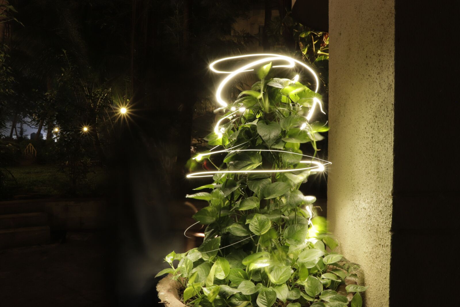 Canon EF-S 18-135mm F3.5-5.6 IS USM sample photo. Light painting, tree, night photography