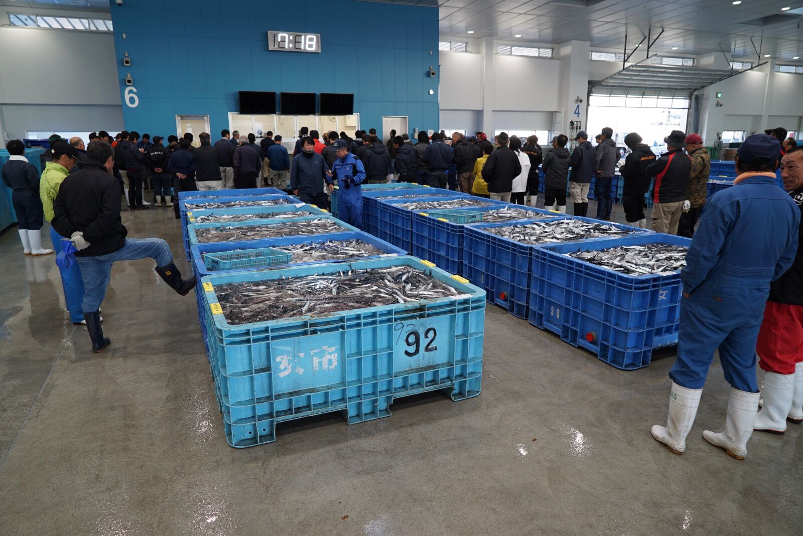 Sony a7S + Sony Vario Tessar T* FE 24-70mm F4 ZA OSS sample photo. Pacific saury, fish, fishing photography