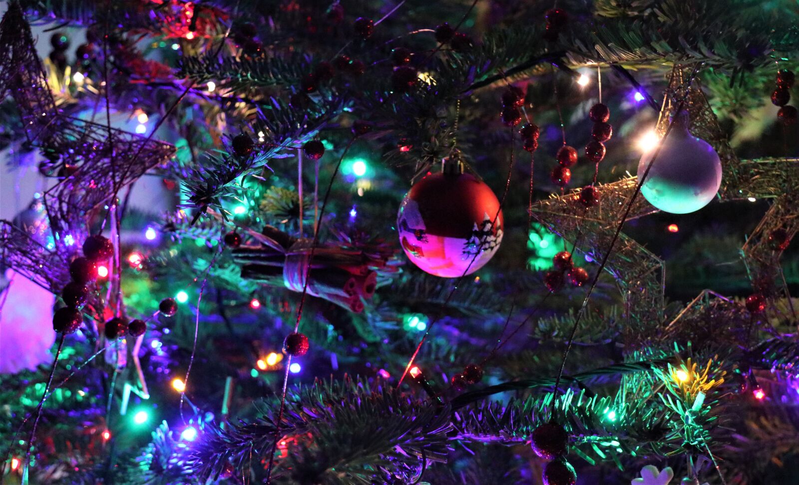 Canon EOS M6 sample photo. Christmas, december, holidays photography