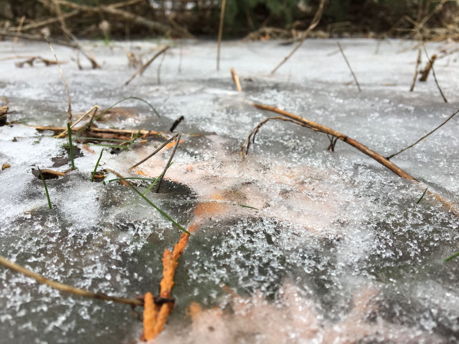 Apple iPhone 6s sample photo. Ice, nature, cold photography