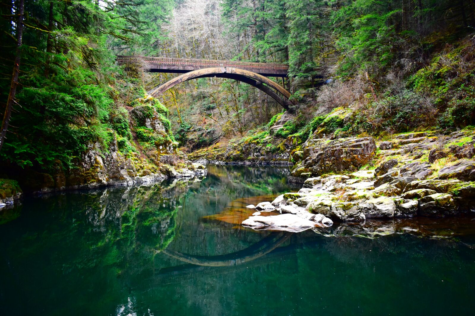 Nikon D3500 sample photo. Bridge, nature, forest photography