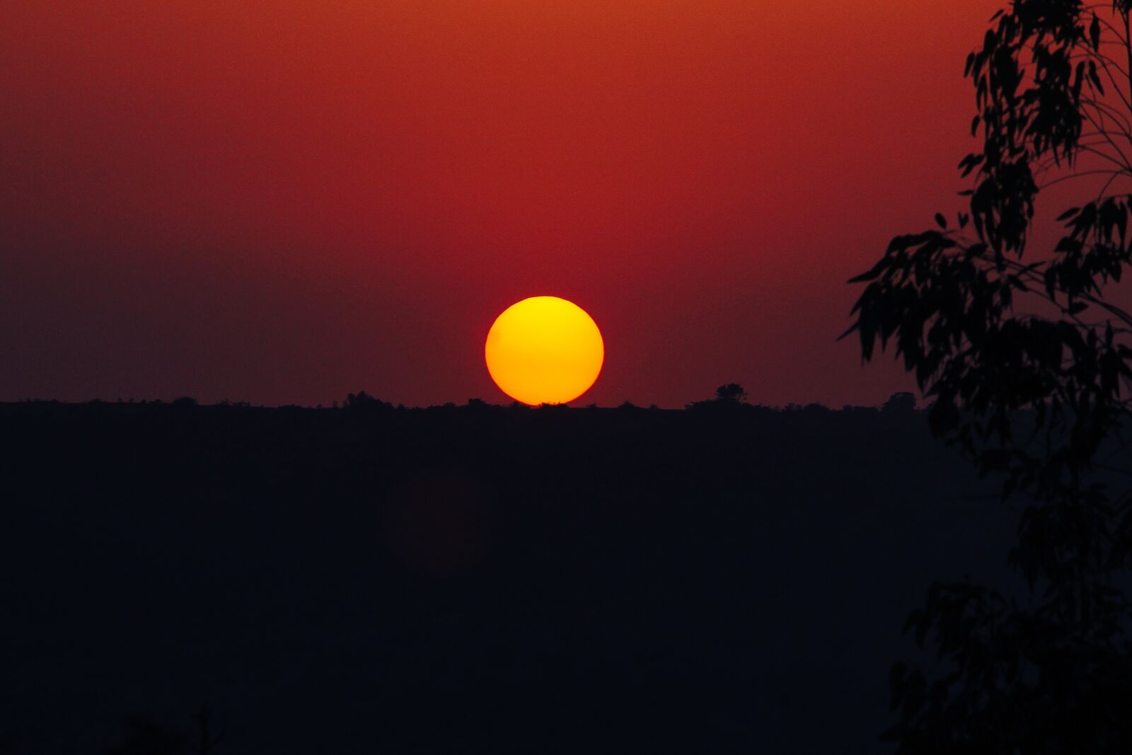 Canon EOS 1100D (EOS Rebel T3 / EOS Kiss X50) + Canon EF-S 55-250mm F4-5.6 IS II sample photo. India, nature, sunset photography