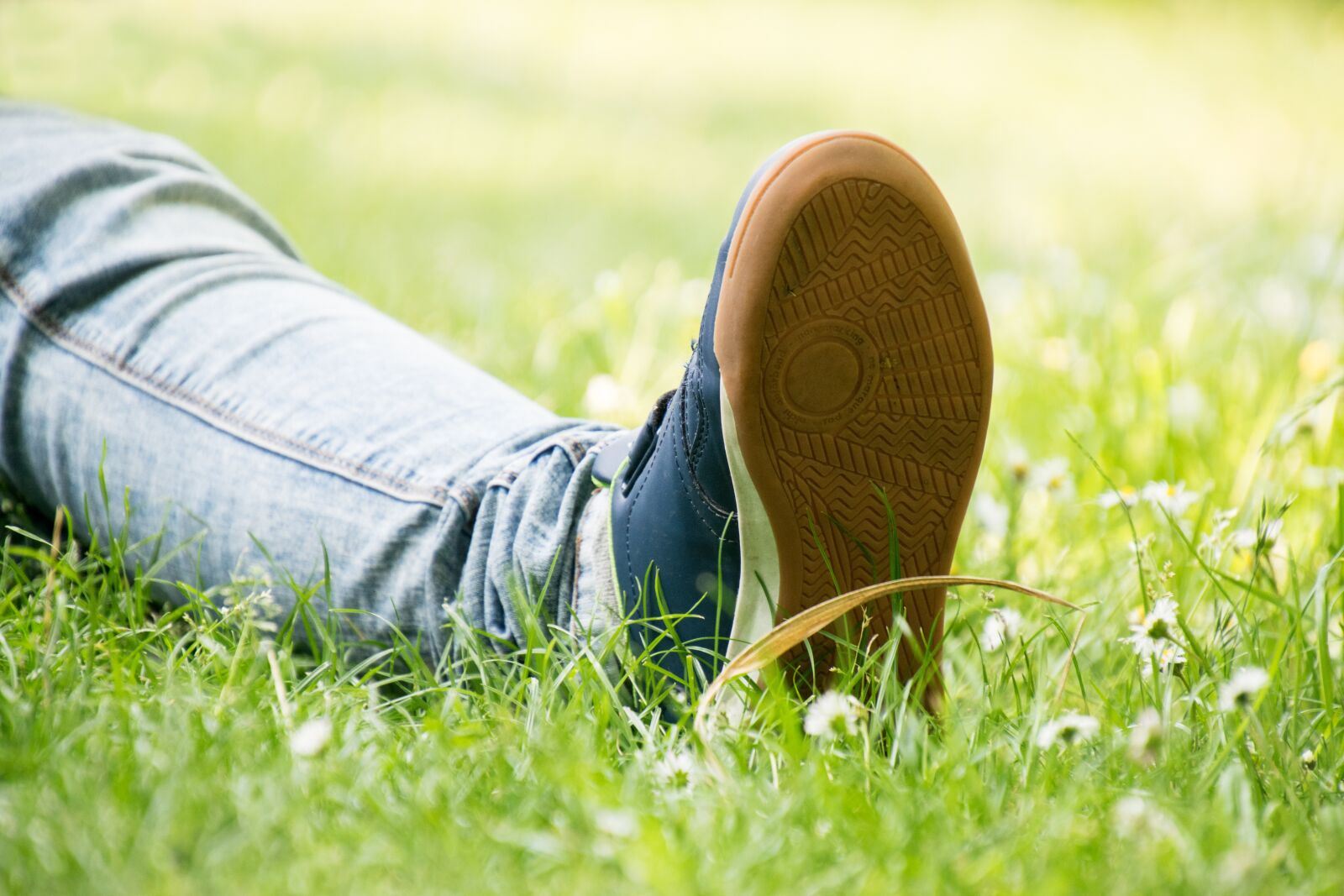 Nikon D3300 sample photo. Grass, nature, summer photography