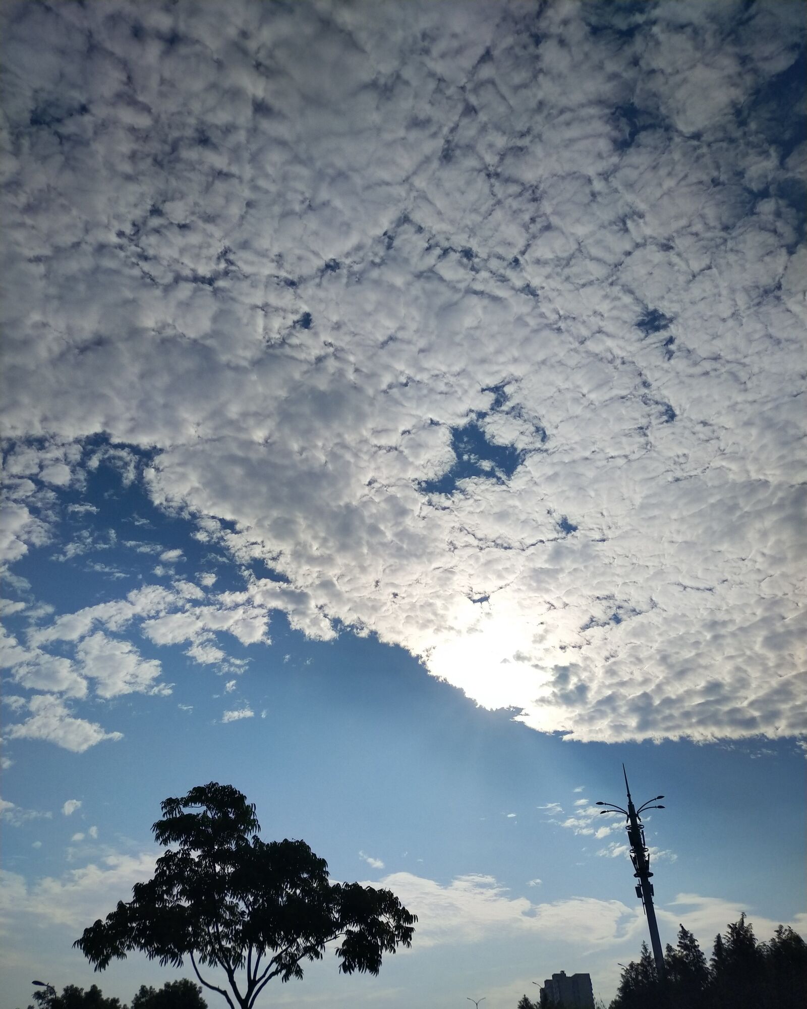Meizu 15 sample photo. Sky, blue, cloud photography