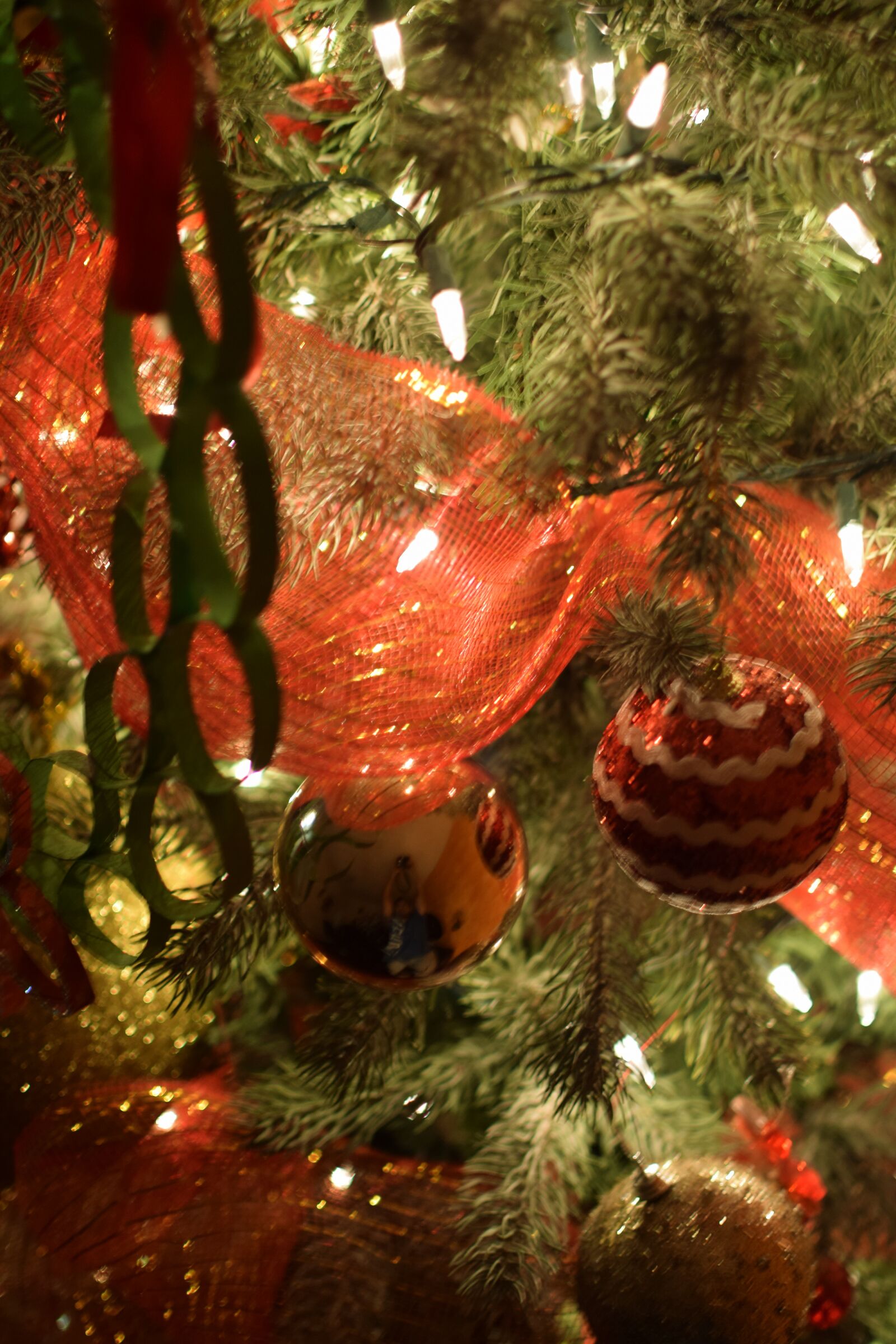 Nikon D3300 sample photo. Trim, christmas, decoration photography