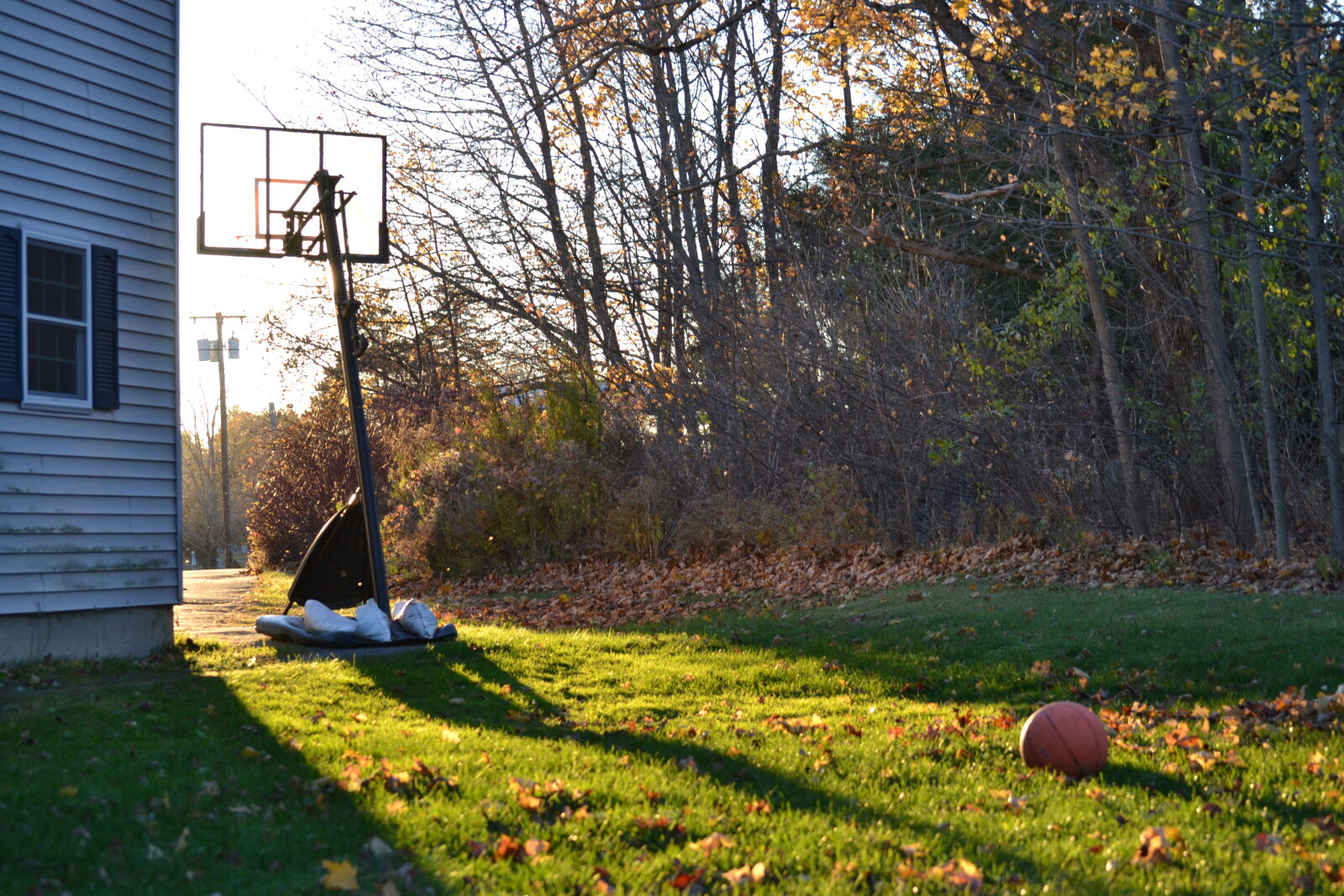 Nikon D3100 sample photo. Basketball, sunset photography