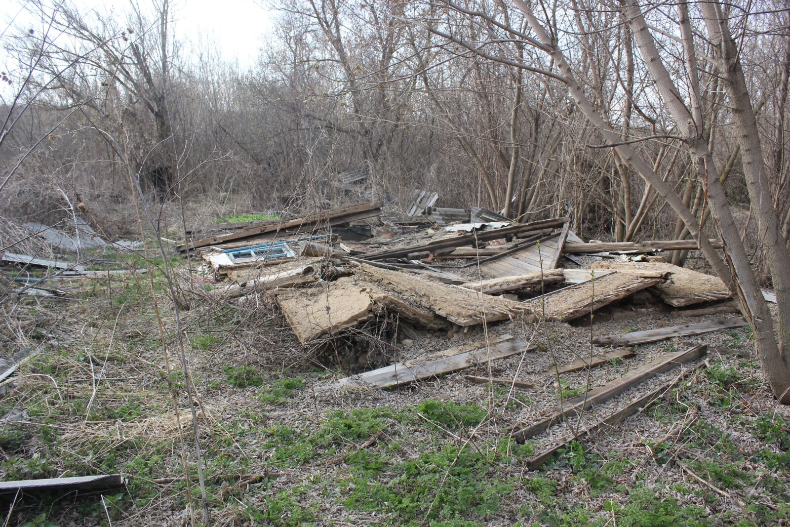 Canon EOS 550D (EOS Rebel T2i / EOS Kiss X4) sample photo. The ruins of the photography