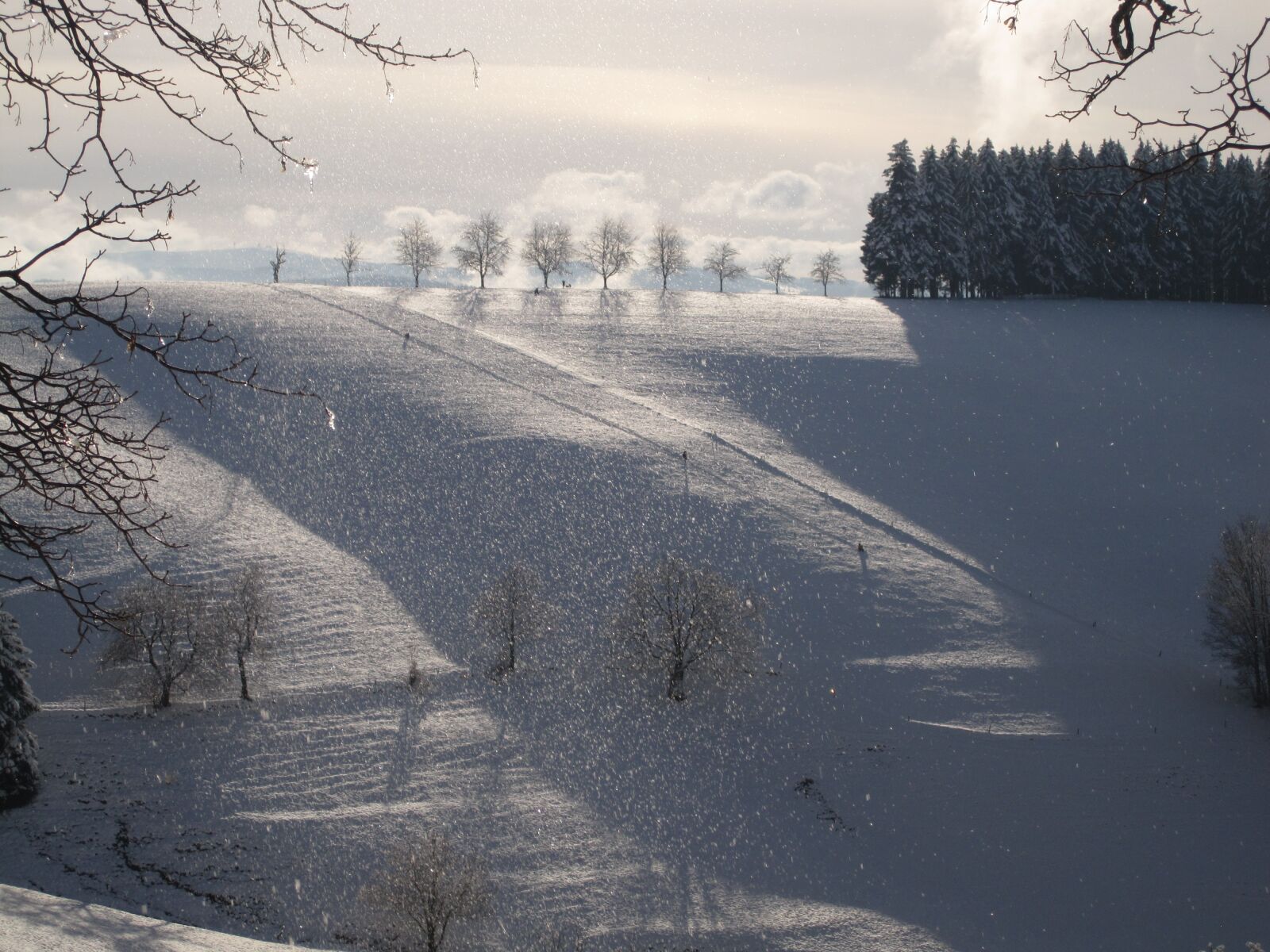 Canon PowerShot SD780 IS (Digital IXUS 100 IS / IXY Digital 210 IS) sample photo. Snowfall, winter mood, sleigh photography