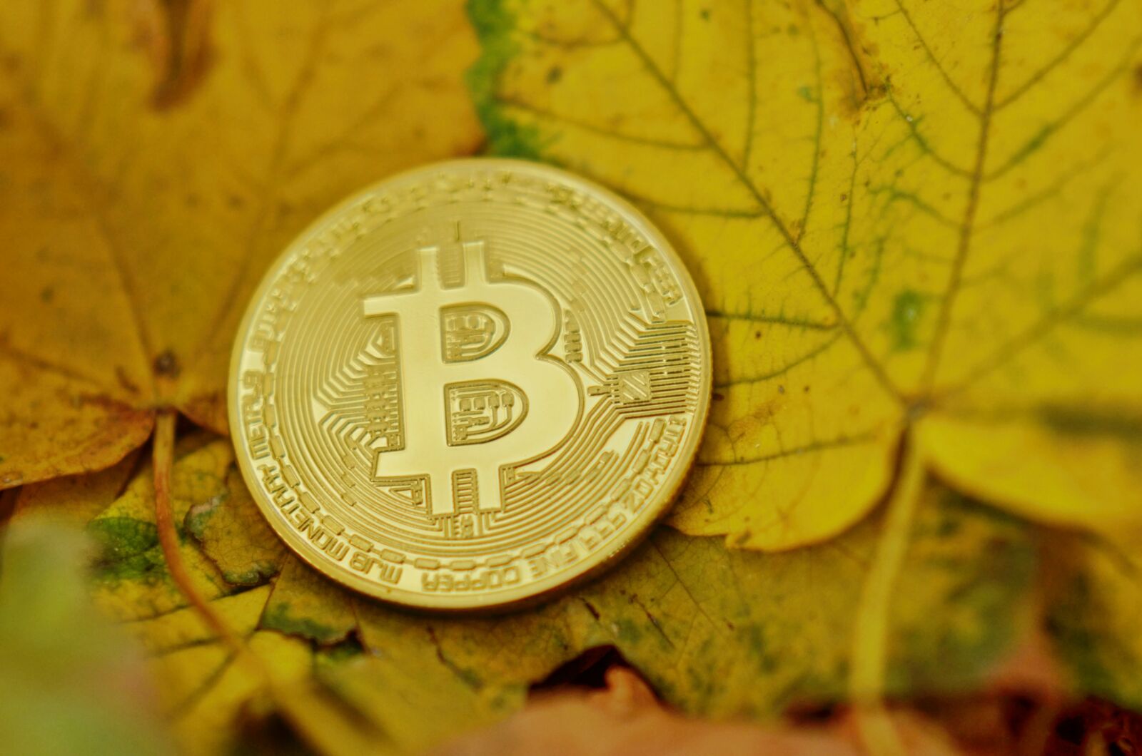Nikon D7000 sample photo. Bitcoin, cryptocurrency, coins photography