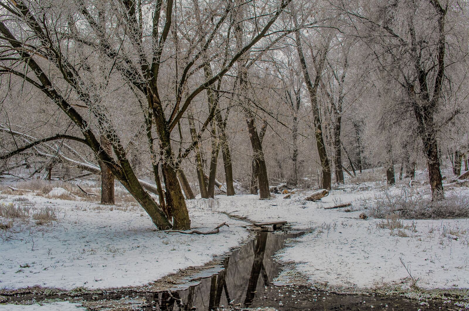 Nikon D90 sample photo. Landscape, water, reflection photography