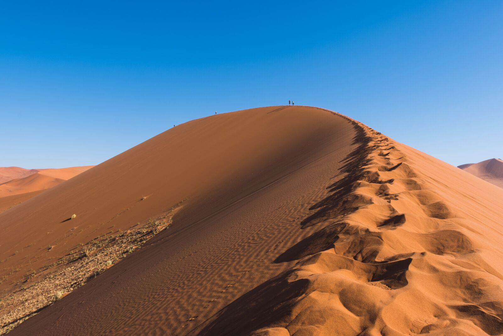 Fujifilm X-T2 sample photo. Desert, sand, dry photography