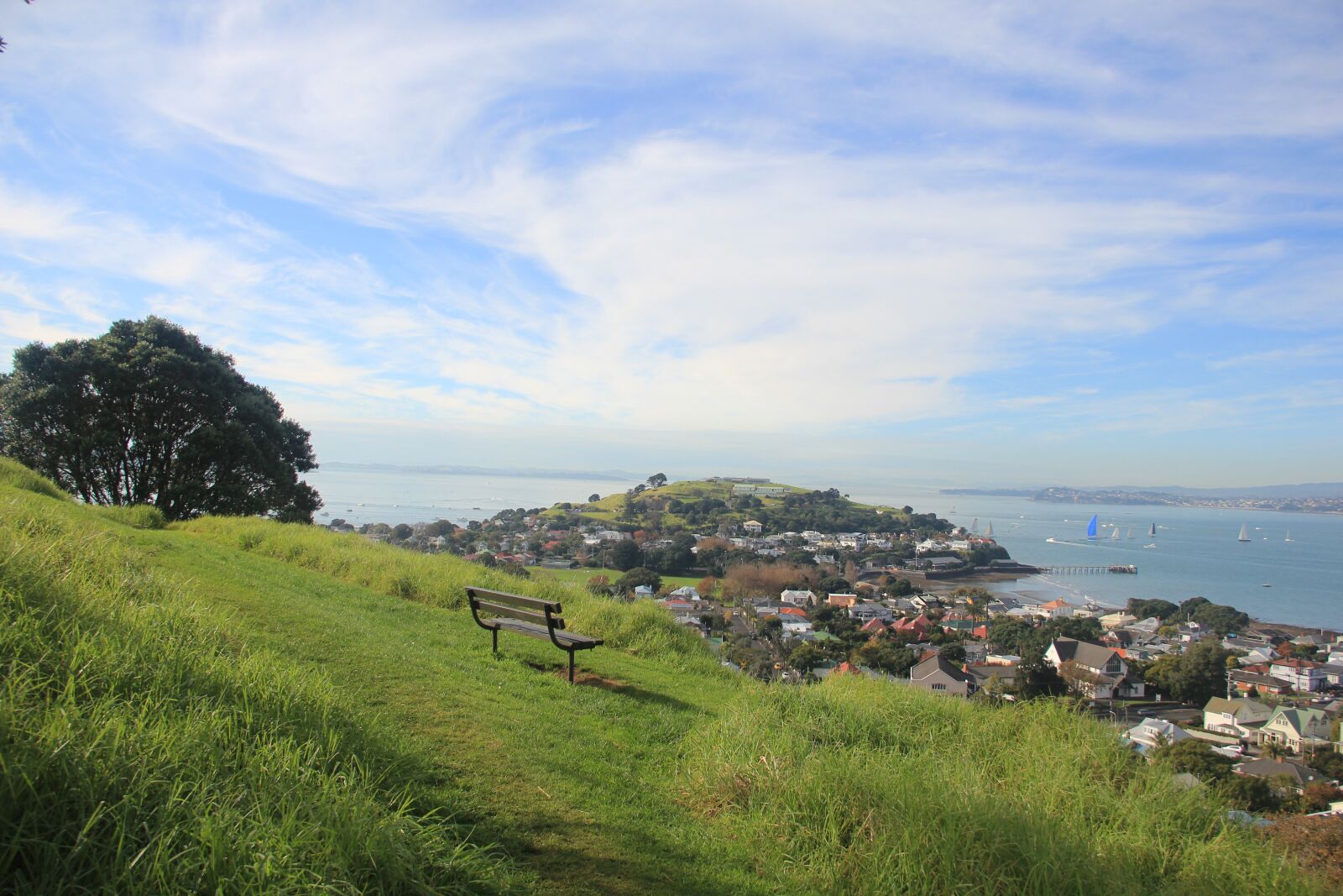 Canon EOS 550D (EOS Rebel T2i / EOS Kiss X4) sample photo. Nature, nz, green photography
