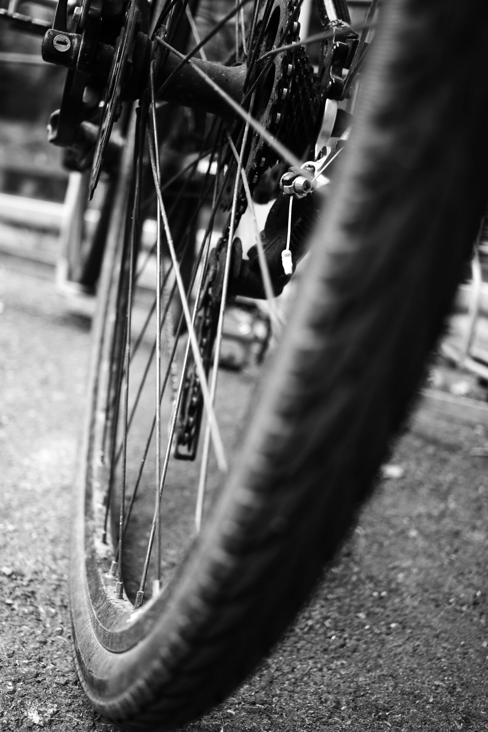 Canon EOS 7D Mark II + Canon EF-S 24mm F2.8 STM sample photo. Cycle, wheel, bike photography