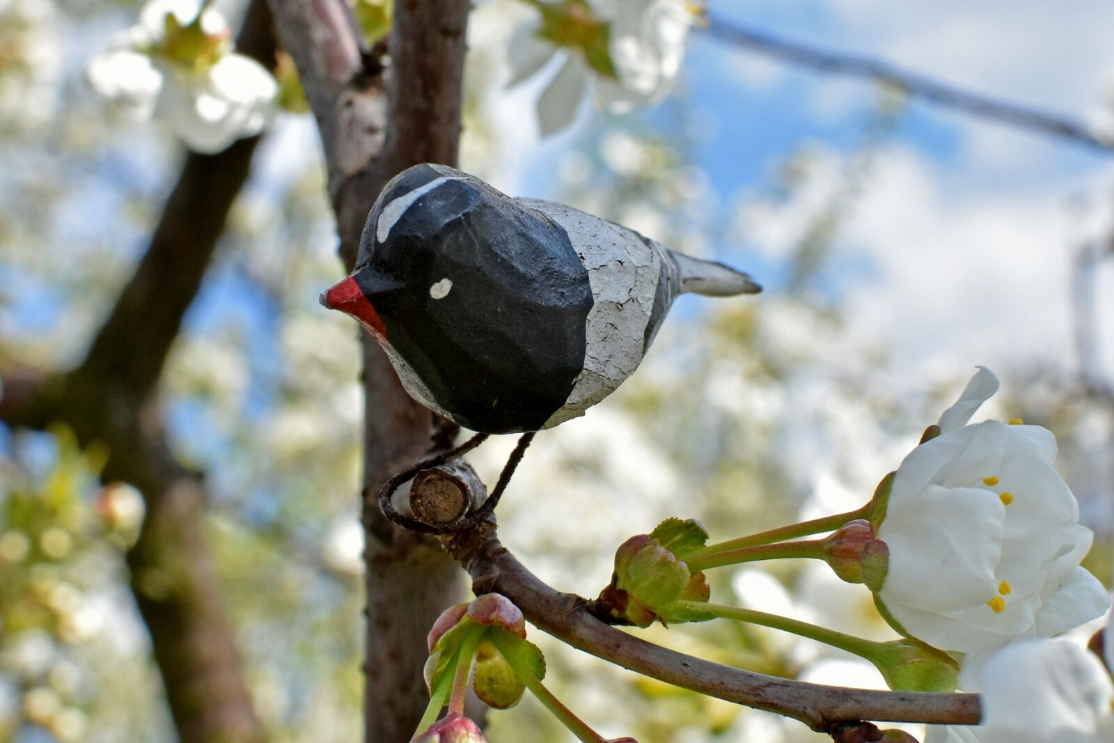 Nikon D7200 sample photo. Bird, artificial, spring photography