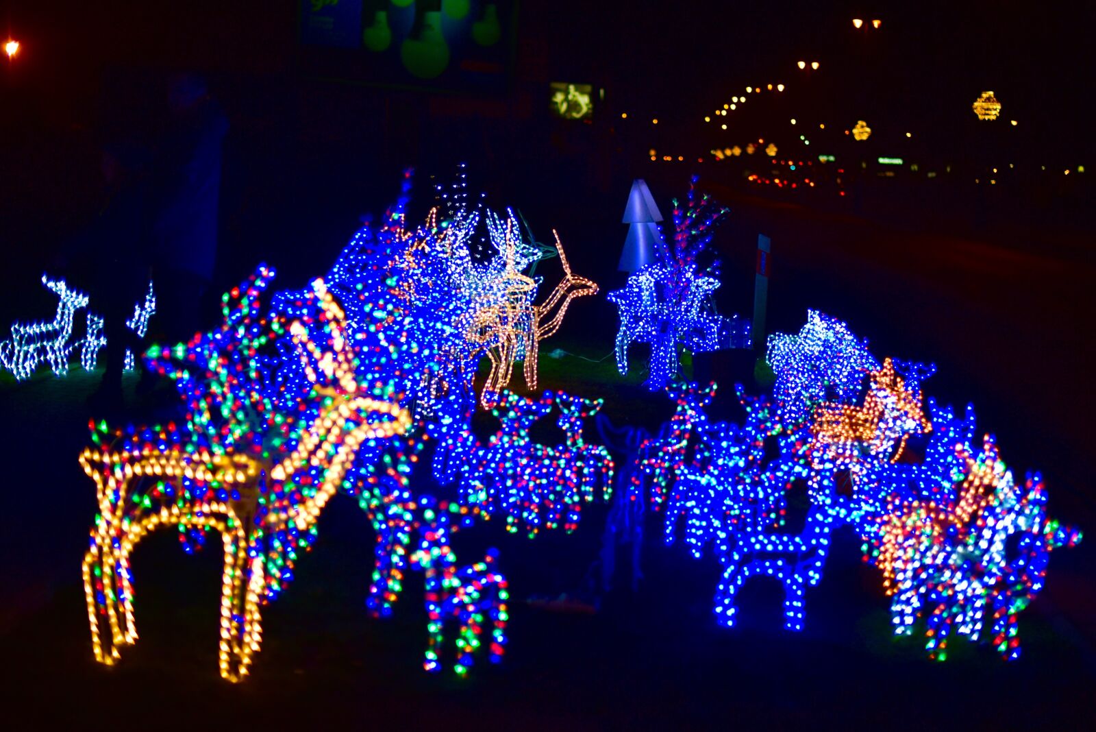 Nikon D750 sample photo. Christmas, theme, light photography