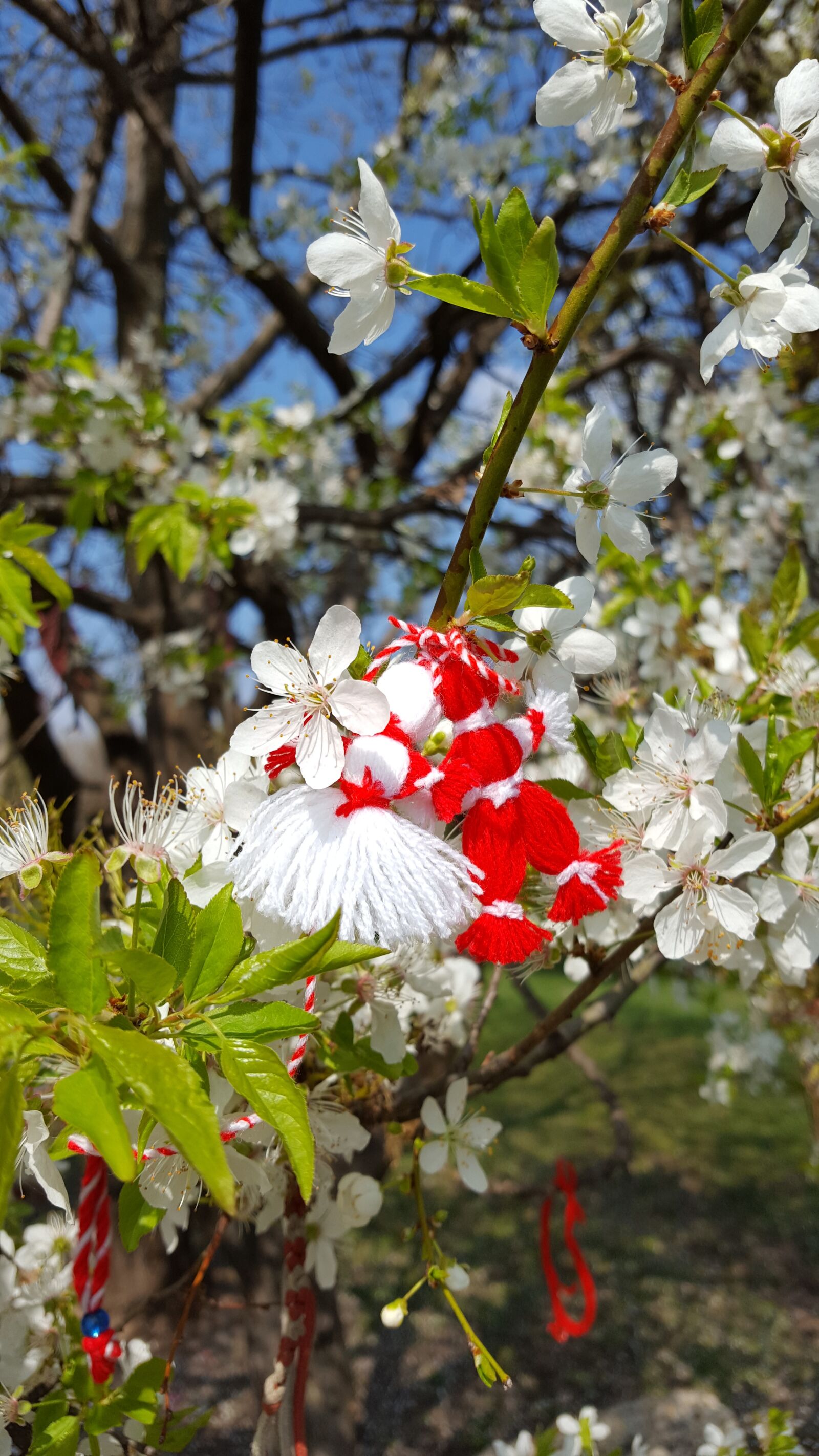 Samsung Galaxy S6 sample photo. Martenitsa, tradition, custom photography