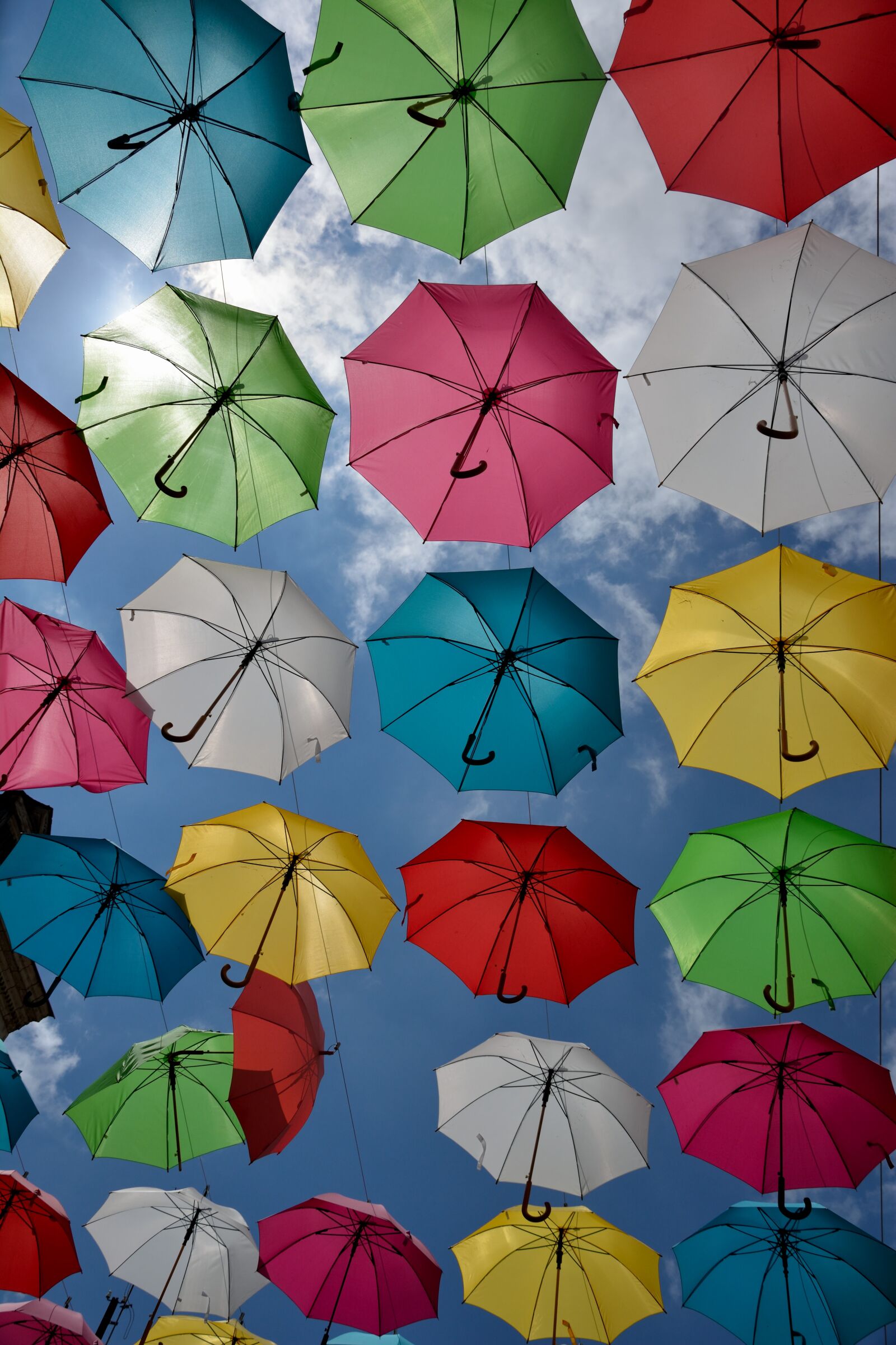 Nikon D5200 sample photo. Umbrella, color, heaven photography