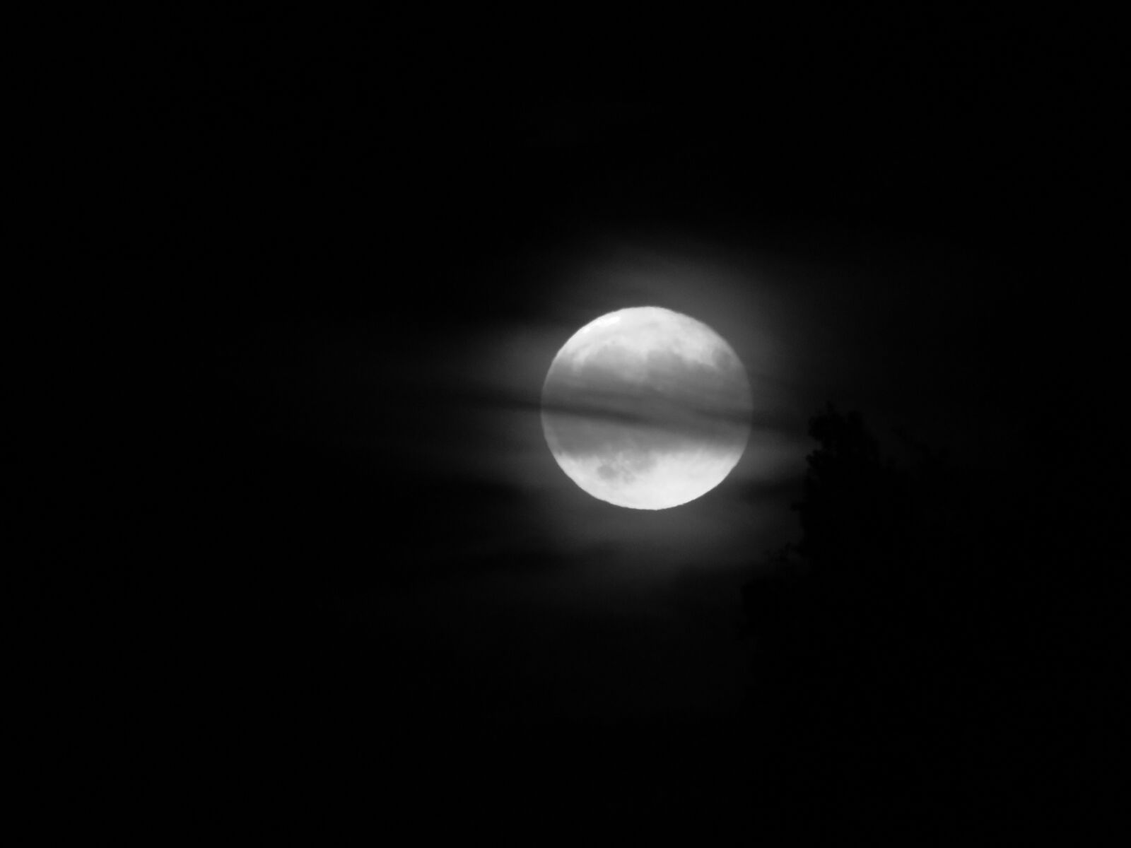 Canon PowerShot SX60 HS sample photo. Black, and, white, clouds photography
