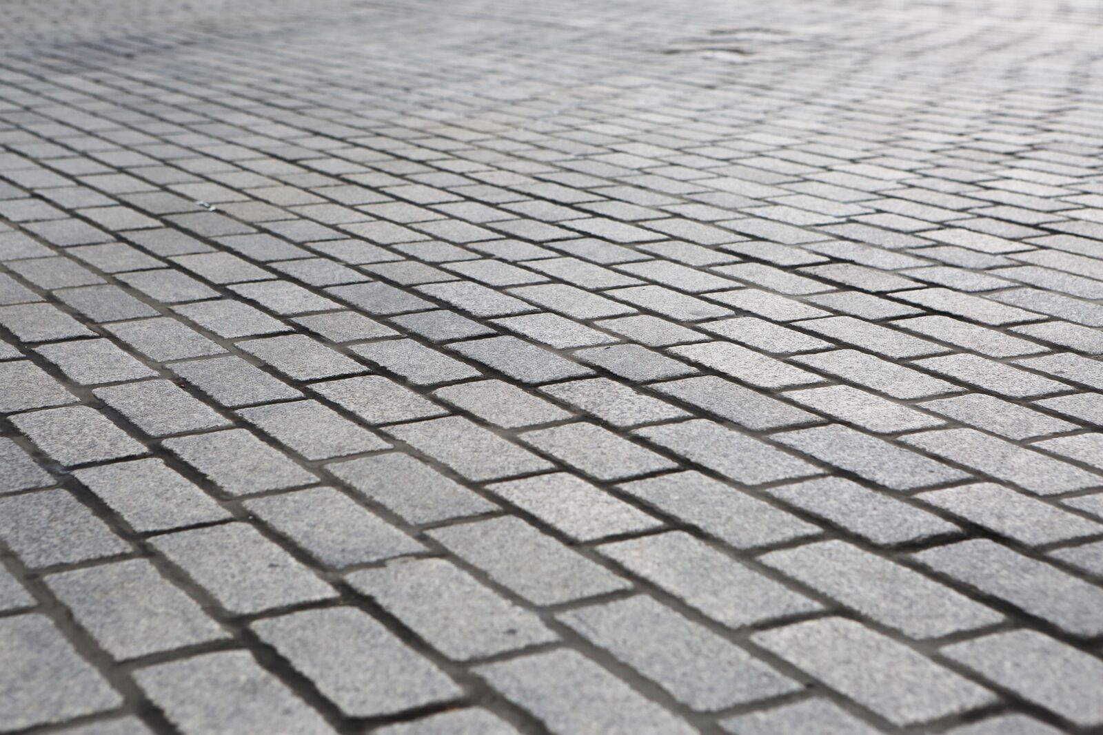 Canon EF 24-70mm F2.8L USM sample photo. Sidewalk, path, cobblestone photography