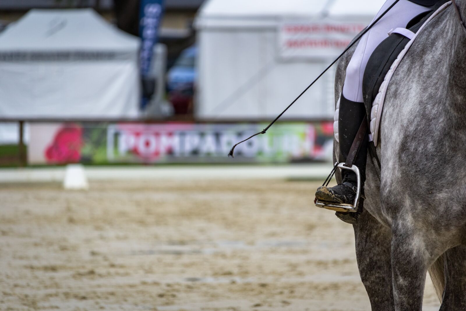 Canon EF-S 55-250mm F4-5.6 IS STM sample photo. Horse, horses, dressage photography