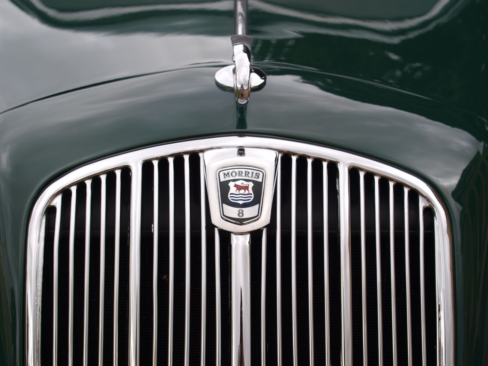 Olympus E-520 (EVOLT E-520) sample photo. Morris, car grill, badge photography