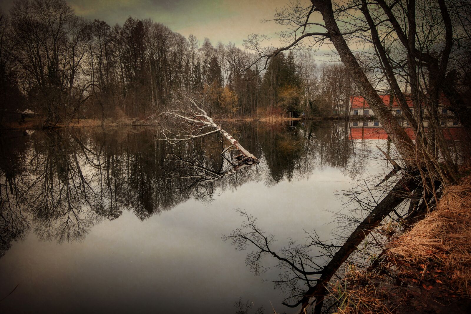 Panasonic Lumix DMC-GX8 sample photo. Lake, pond, water photography