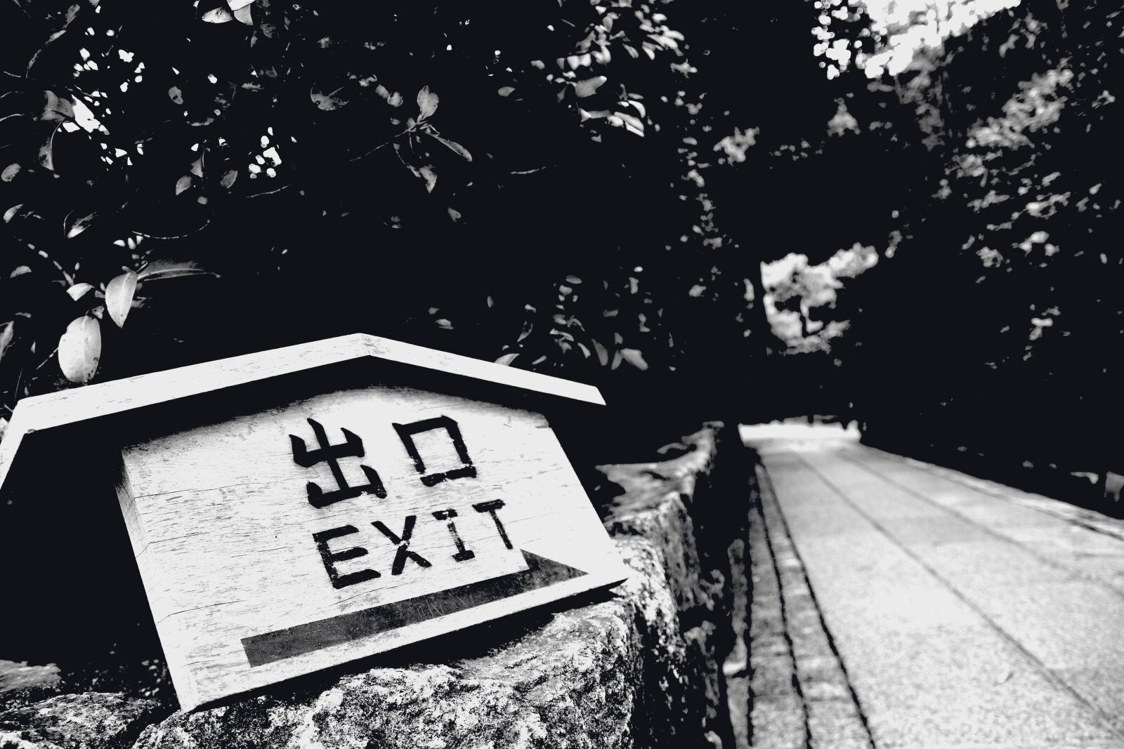 Canon EOS 70D sample photo. Exit, road, hope photography