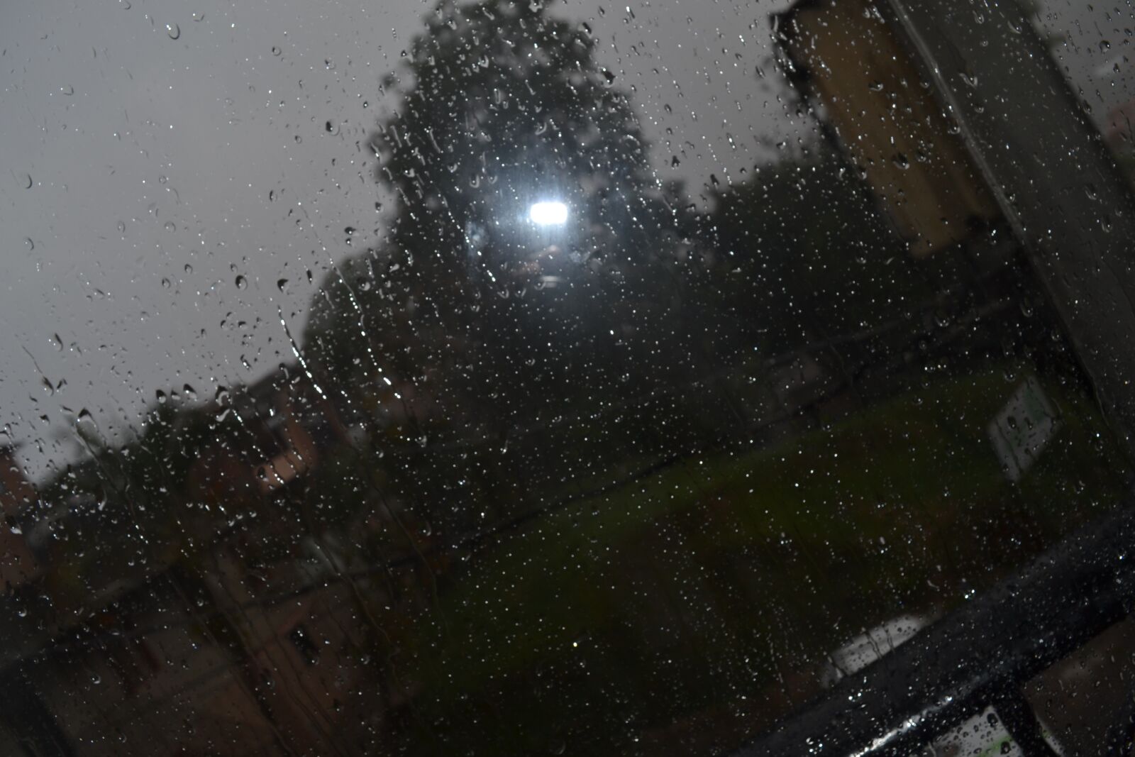 Nikon D3100 sample photo. Aesthetic, rain, alone photography