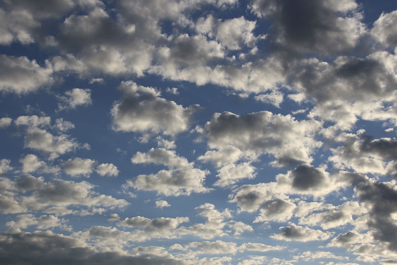 Canon EOS 700D (EOS Rebel T5i / EOS Kiss X7i) sample photo. Sky, dramatic, mood photography