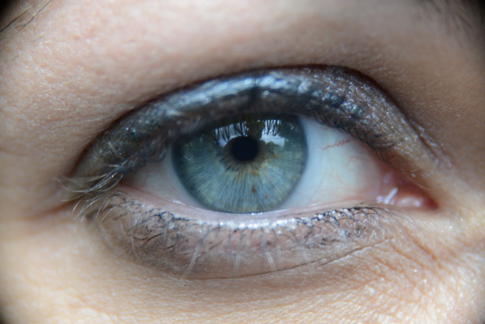 Nikon D800 sample photo. Eyes, look, œil photography