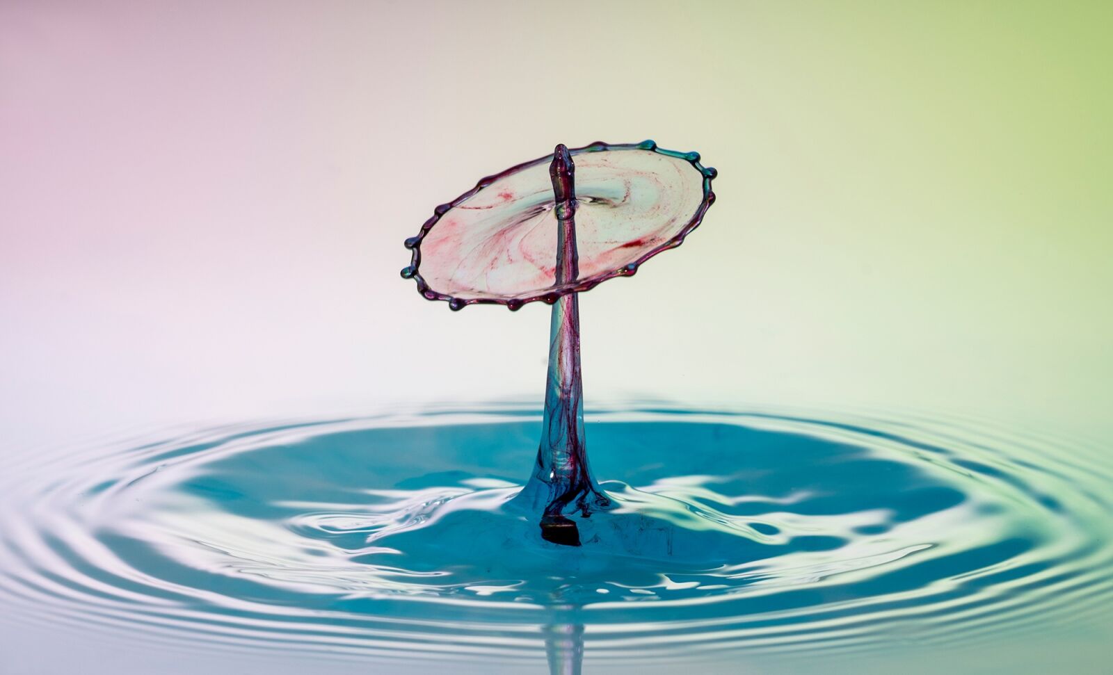 150mm F2.8 sample photo. Water, drip, drop of photography