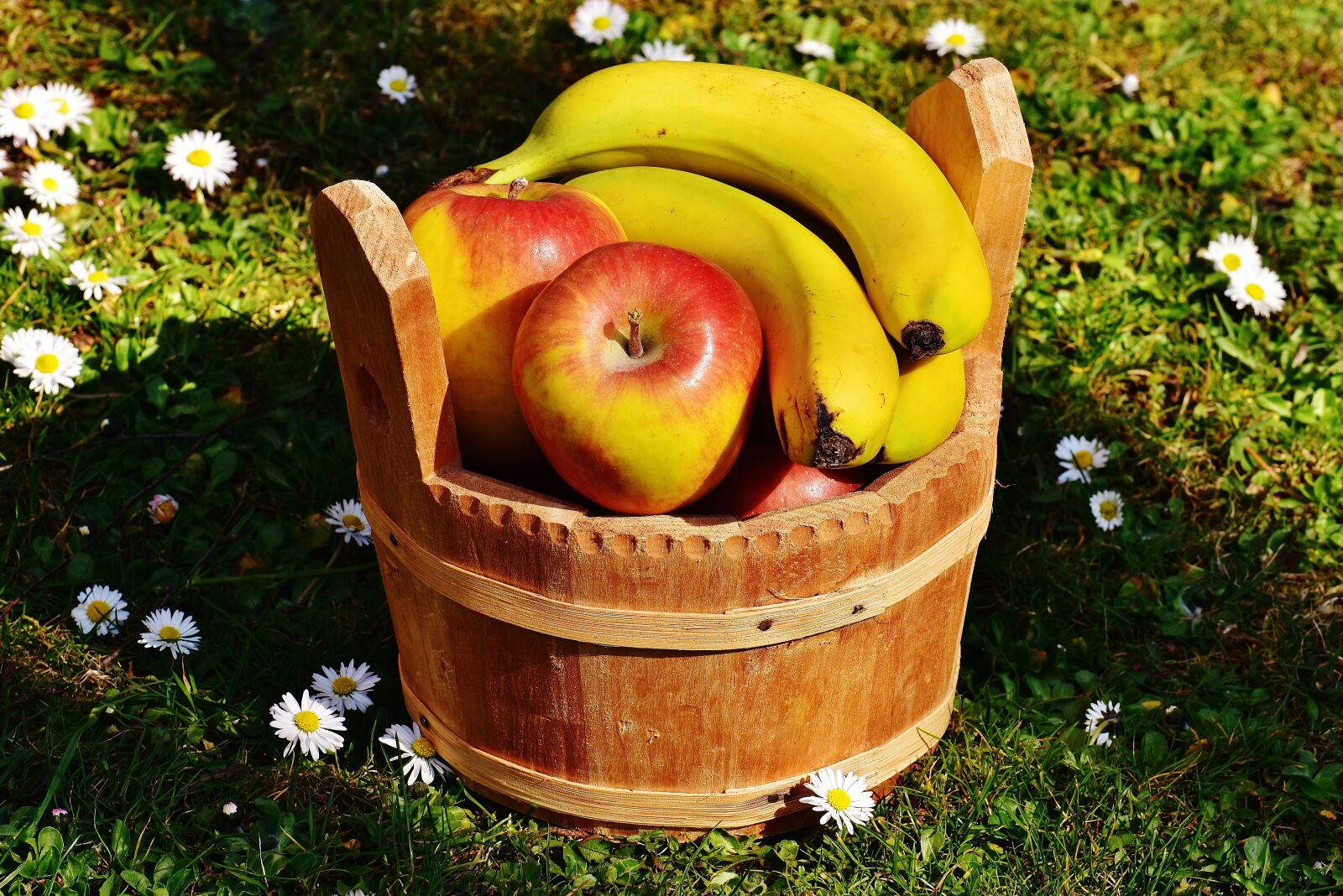 Nikon D7200 sample photo. Basket, wood, fruit photography