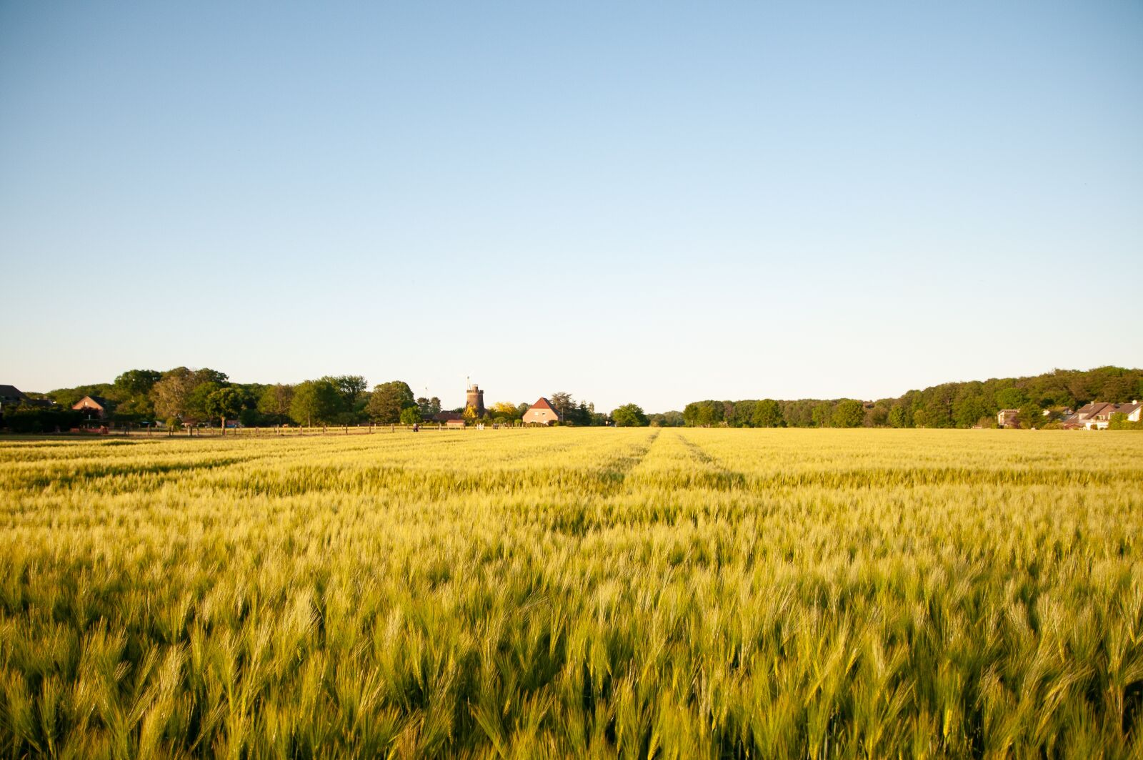 Nikon D300S sample photo. Dorsten, field, rural photography