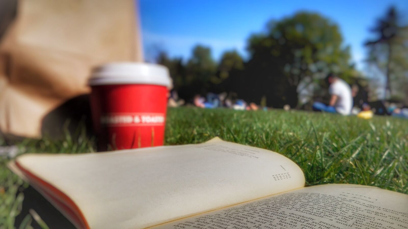 HUAWEI P8 Lite sample photo. Book, city, park photography