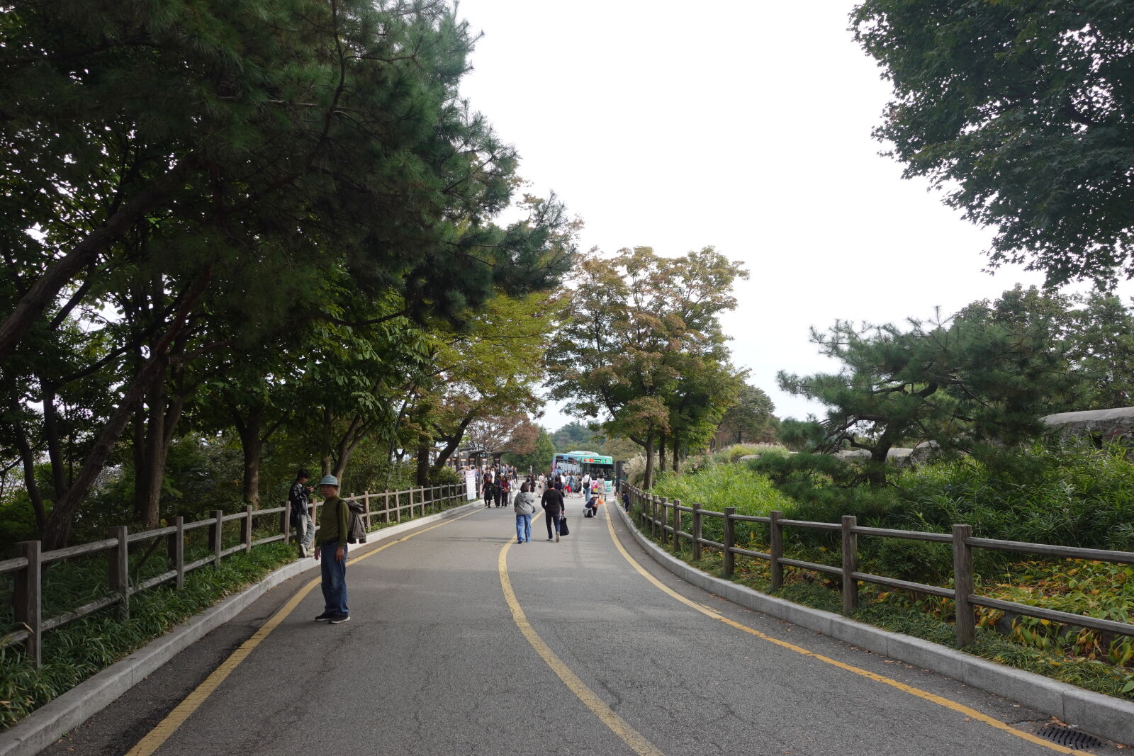 Sony ZV-1 sample photo